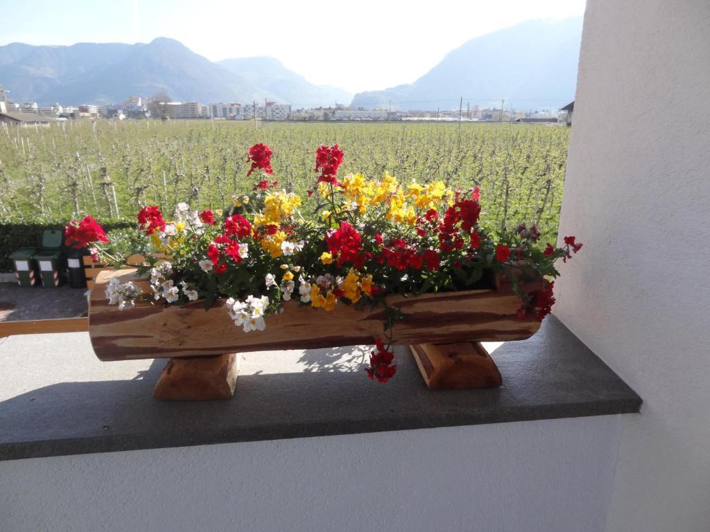 Apartments Klotz Bolzano Eksteriør bilde